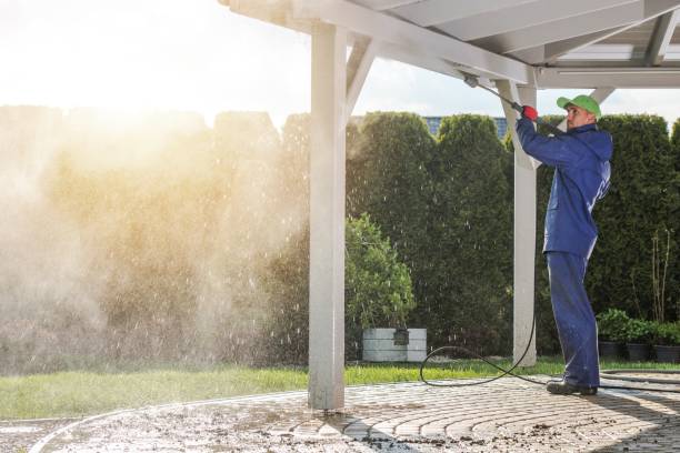 Best Post-Construction Pressure Washing  in Carleton, MI