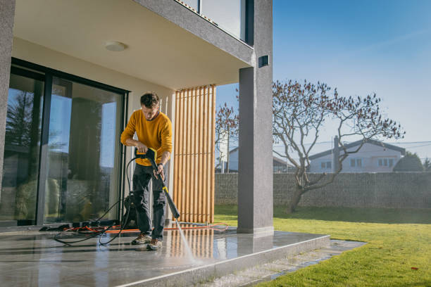 Best Building Exterior Washing  in Carleton, MI