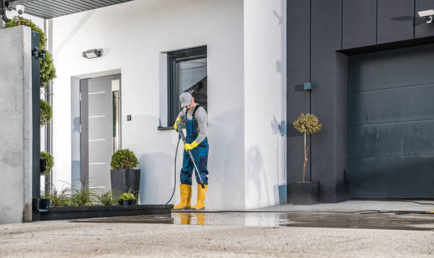 Best Pre-Holiday Cleaning  in Carleton, MI