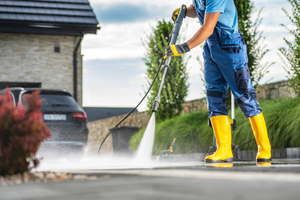 Best Driveway Pressure Washing  in Carleton, MI