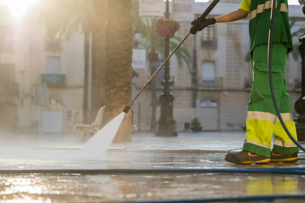 Best Dumpster Area Cleaning  in Carleton, MI